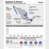 Haitians in Mexico Info Graphic