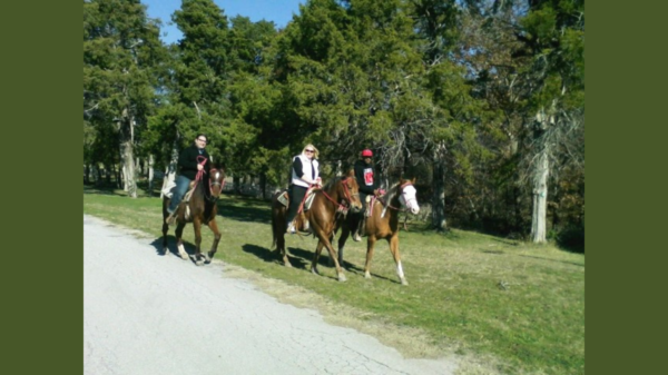 Skyline Ranch