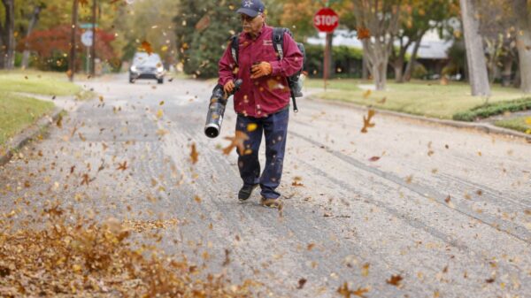 A yard worker