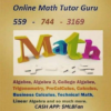 The Online Math Tutor Guru by Fredrico Evans