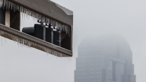 Formed icicles at N Hall St traffic light in Dallas