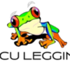 HBCU Leggins