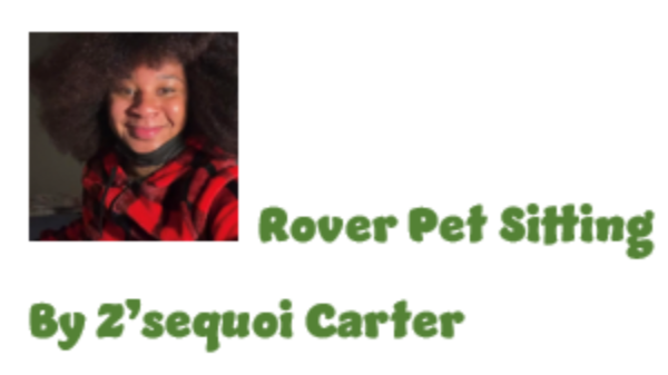 Rover Pet Sitting