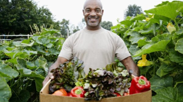 Man with Vegetable