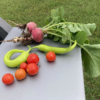 DeSoto ISD Elementary Scholars Harvest School Gardens