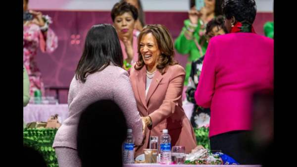 Alpha Kappa Alpha Sorority, Inc. Forms Political Action Committee